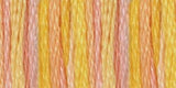 DMC Color Variations 6-Strand Embroidery Floss 8.7yd