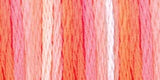DMC Color Variations 6-Strand Embroidery Floss 8.7yd