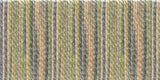 DMC Color Variations 6-Strand Embroidery Floss 8.7yd