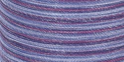 Coats Dual Duty Plus Hand Quilting Multicolor Thread 250yd