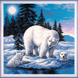 Collection D'Art Stamped Cross Stitch Kit 41X41cm