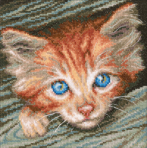 RTO Counted Cross Stitch Kit 7"X7"