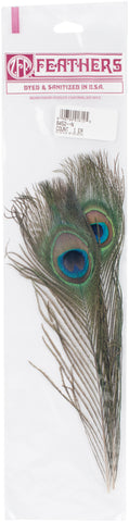 Peacock Eye Feathers 2/Pkg