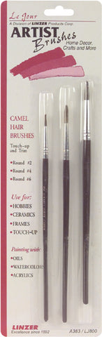 Camel Hair Artist Brush Set