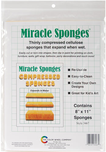 Compressed Sponges 2/Pkg