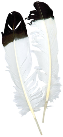 Imitation Eagle Quill Feathers 2/Pkg