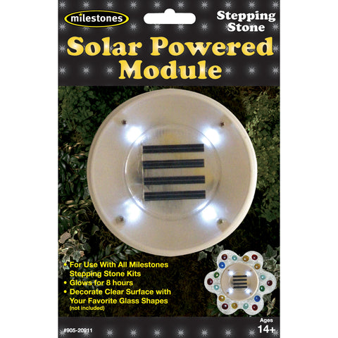 Stepping Stone Solar Powered Module