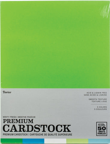 Darice Value Pack Smooth Cardstock 8.5'x11" 50/Pkg