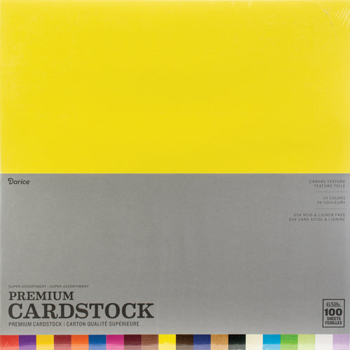 Darice Value Pack Canvas Cardstock 12"X12" 100/Pkg