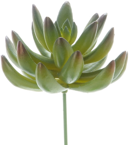 Darice Open Lotus Rosette Faux Succulent