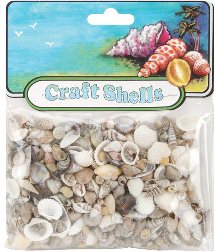 Craft Shells 150/Pkg