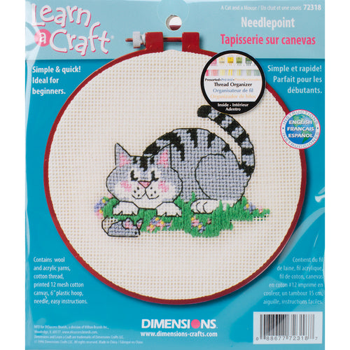 Dimensions/Learn-A-Craft Needlepoint Kit 6"X6"