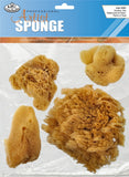 Natural Ocean Artist Sponges 4/Pkg