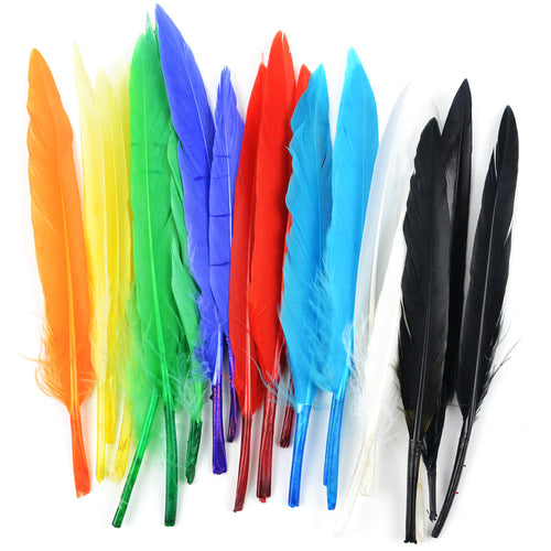 Mini Indian Feathers 24/Pkg