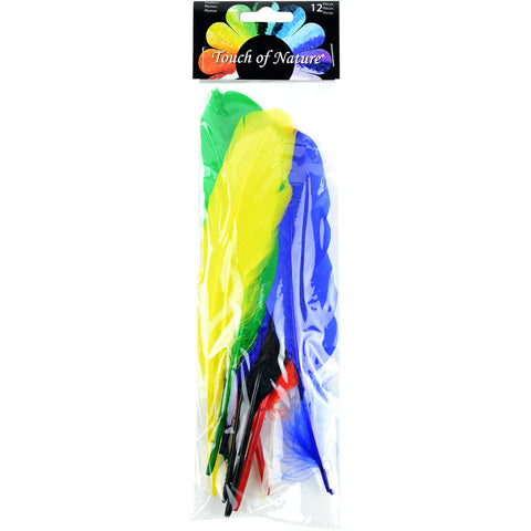 Indian Feathers 12/Pkg