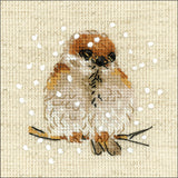 RIOLIS Counted Cross Stitch Kit 4"X4"