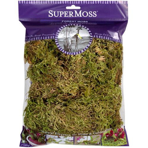 Super Moss Forest Moss Dried 4oz