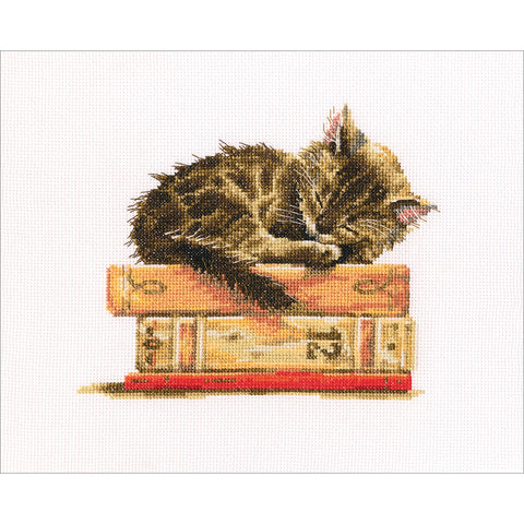 RTO Counted Cross Stitch Kit 7.75"X6.5"