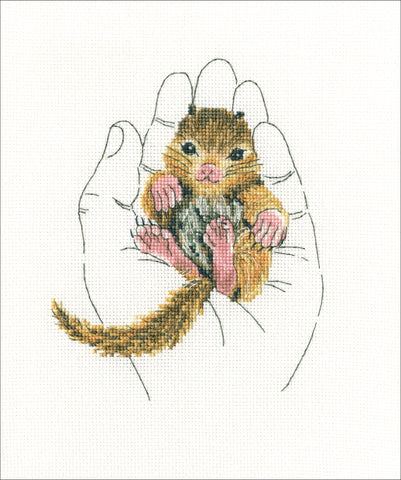 RTO Counted Cross Stitch Kit 5"X6.25"