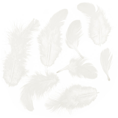 Rooster Plumage Feathers .04oz