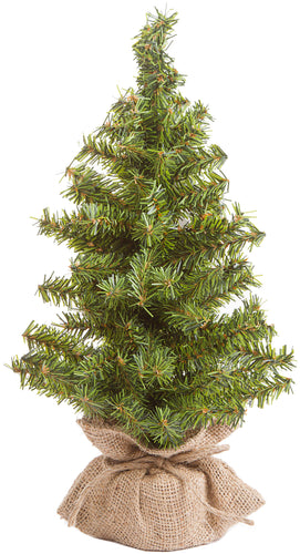 Mini Canadian Pine Tree In Burlap 108 Tips, 15"
