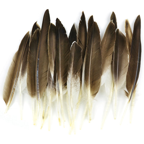 Duck Wing Quill Feathers 22/Pkg