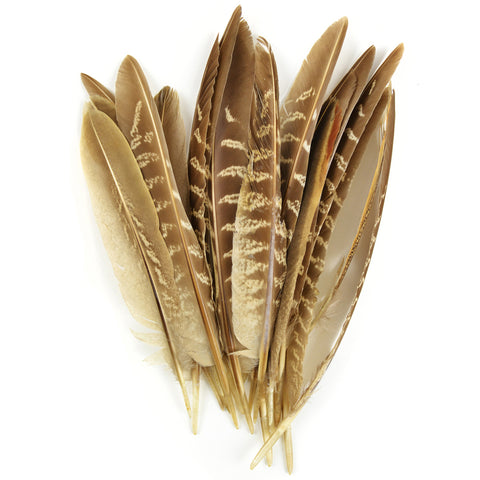 Pheasant Quill Feathers 18/Pkg