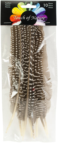 Goose Fowl Wing Quill Feathers 10/Pkg