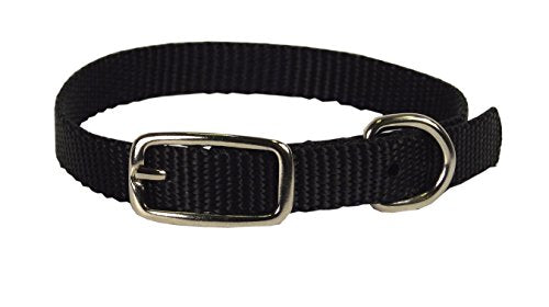 Hamilton Single Thick Nylon Deluxe Dog Collar, 12-Inch, Black