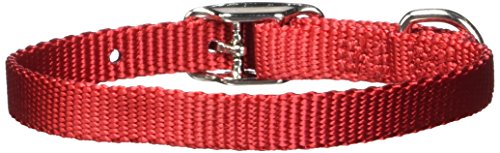 Hamilton Single Thick Nylon Deluxe Dog Collar, 12-Inch, Red