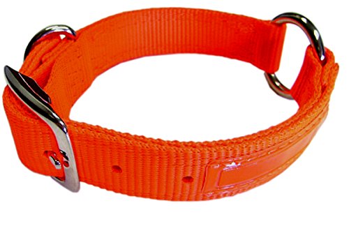 Hamilton 1-Inch Double Thick Safe Rite Dog Collar with Center Ring, 18-Inch Length, Orange