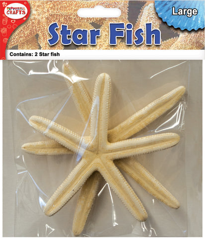 Decorative Star Fish 6" 2/Pkg