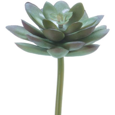 Darice Lotus Succulent