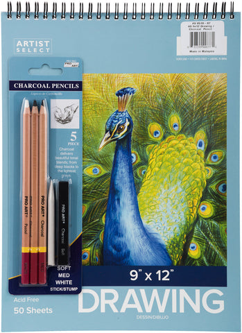 Artist Select Drawing Pad 9&quot;X12&quot; &amp; 5pc Charcoal Pencil Set