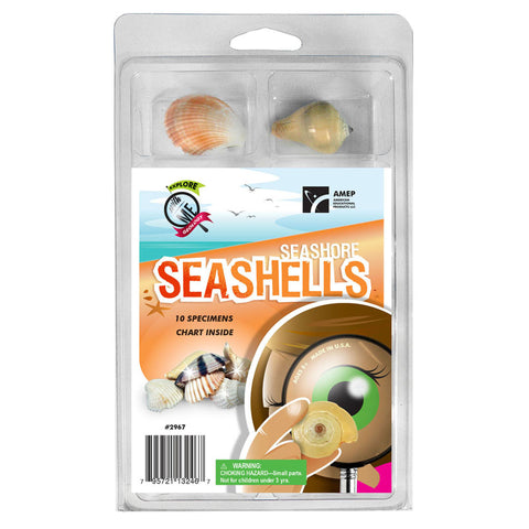 Explore With Me Geology Seashore Seashells