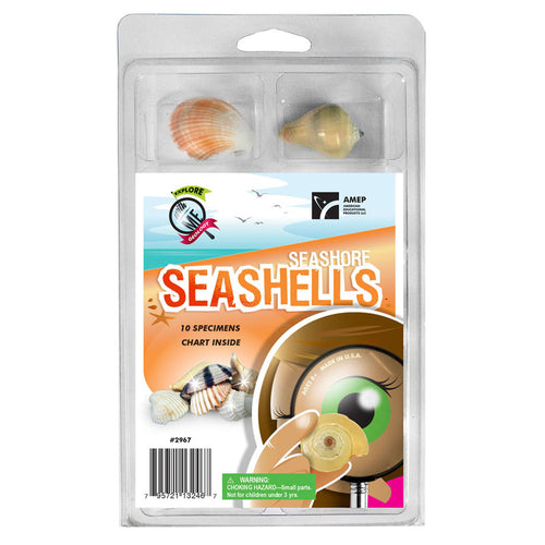 Explore With Me Geology Seashore Seashells