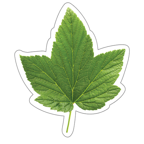 Woodland Whimsy Green Leaf Cut-Outs