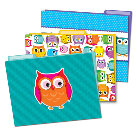 Colorful Owls Folders, All Grades