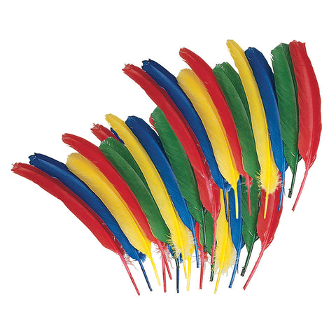 Quill Feathers, Assorted Colors, 12, 24 Pieces