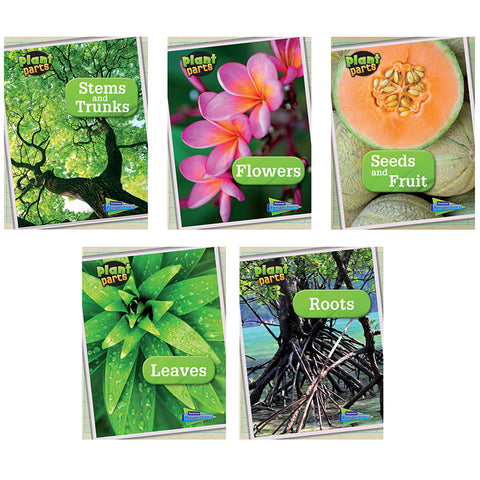 Raintree Perspectives Plant Parts Book Set, Set Of 5