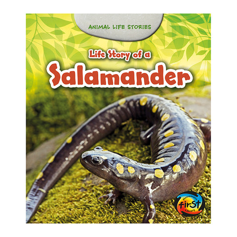 Life Story Of A Salamander