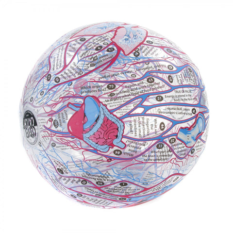 Clever Catch Human Anatomy Ball
