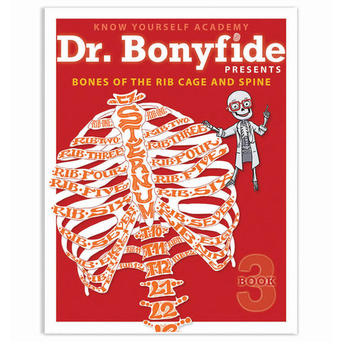 Bones Of Rib Cage And Spine, Dr. Bonyfide Activity Workbook