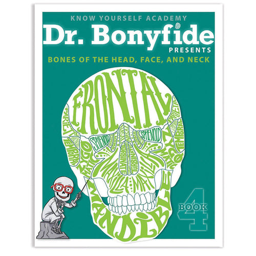 Bones Of Head, Face And Skull, Dr. Bonyfide Activity Workbook