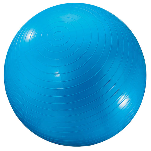 Exercise Ball, 24, Blue