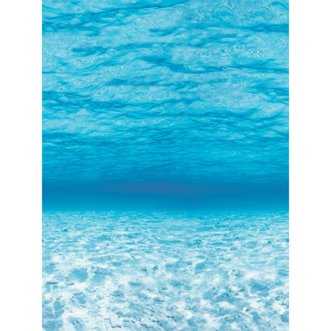 Bulletin Board Art Paper, Under The Sea, 48 X 50', 1 Roll