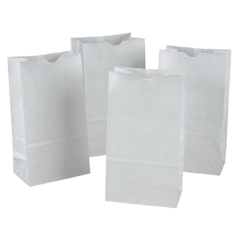 Rainbow Kraft Bag, White, 6 X 3-5/8 X 11, 100 Bags