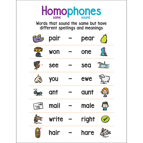 Anchor Chart Homophones
