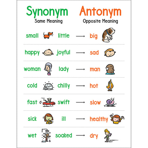 Anchor Chart Synonym &amp; Antonym