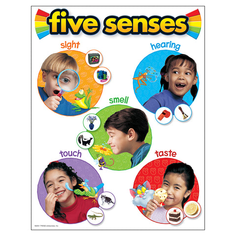 Five Senses Learning Chart, 17 X 22